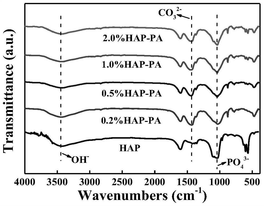 Peanut shell/hydroxyapatite composite material, preparation method thereof and application of peanut shell/hydroxyapatite composite material in adsorption separation of Pb (II)