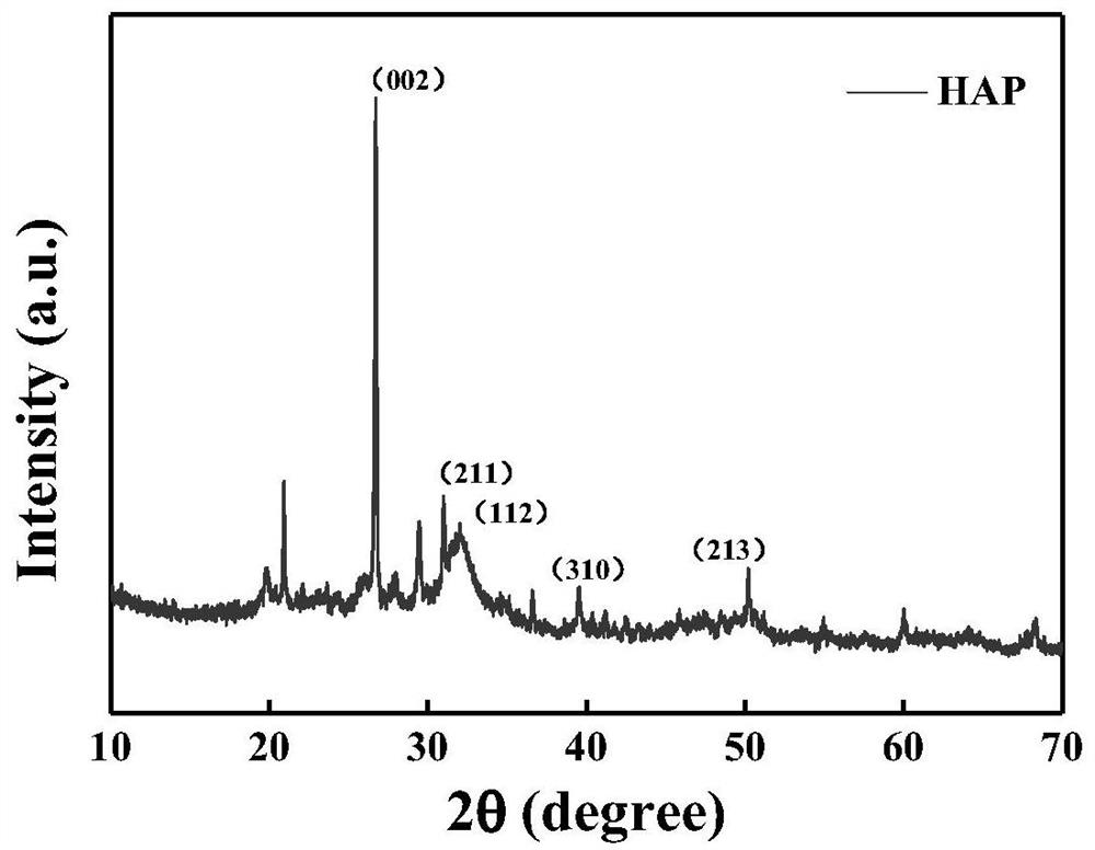 Peanut shell/hydroxyapatite composite material, preparation method thereof and application of peanut shell/hydroxyapatite composite material in adsorption separation of Pb (II)