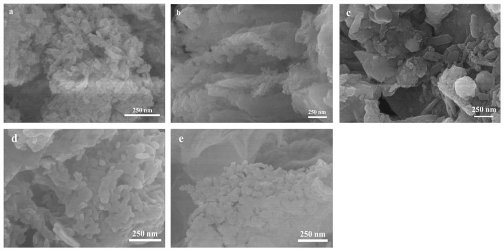 Peanut shell/hydroxyapatite composite material, preparation method thereof and application of peanut shell/hydroxyapatite composite material in adsorption separation of Pb (II)