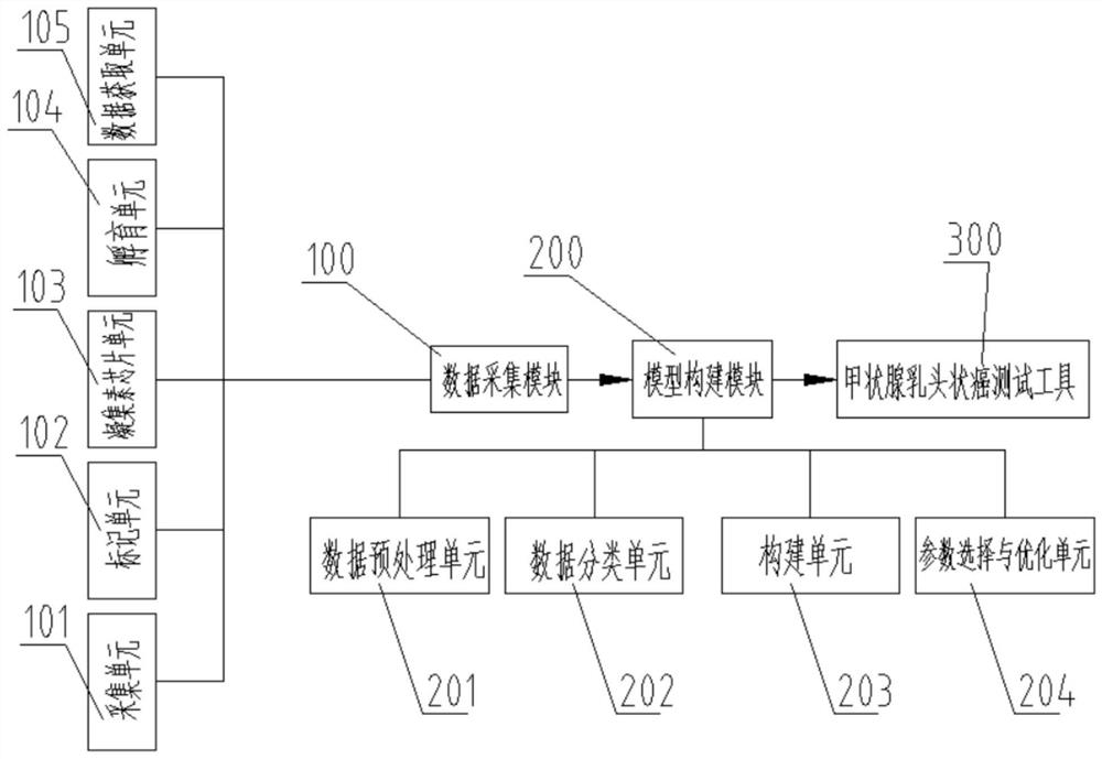 Tool and system for testing papillary thyroid carcinoma