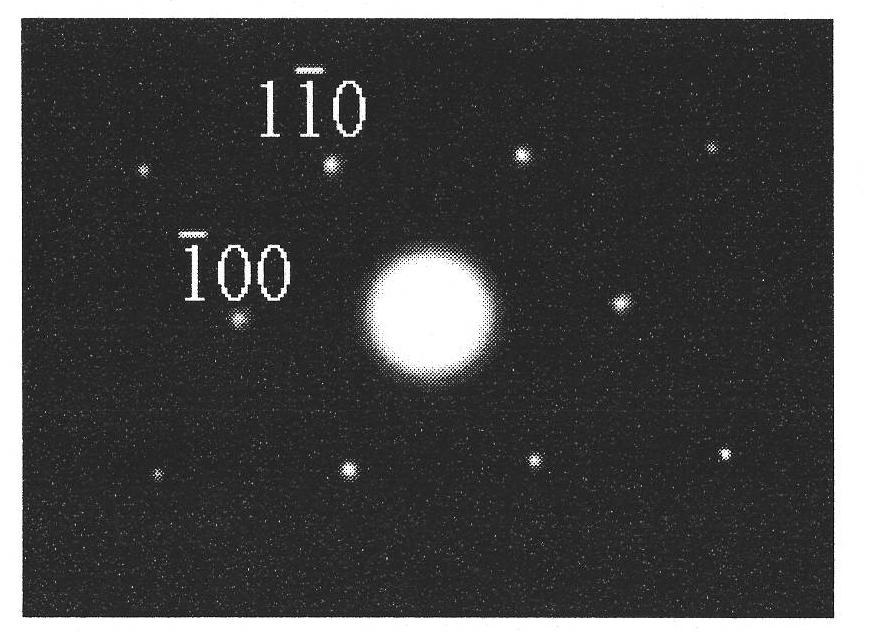 Preparation method of cobalt sulfide nanotubes or nanowires based on porous anodic aluminum oxide template