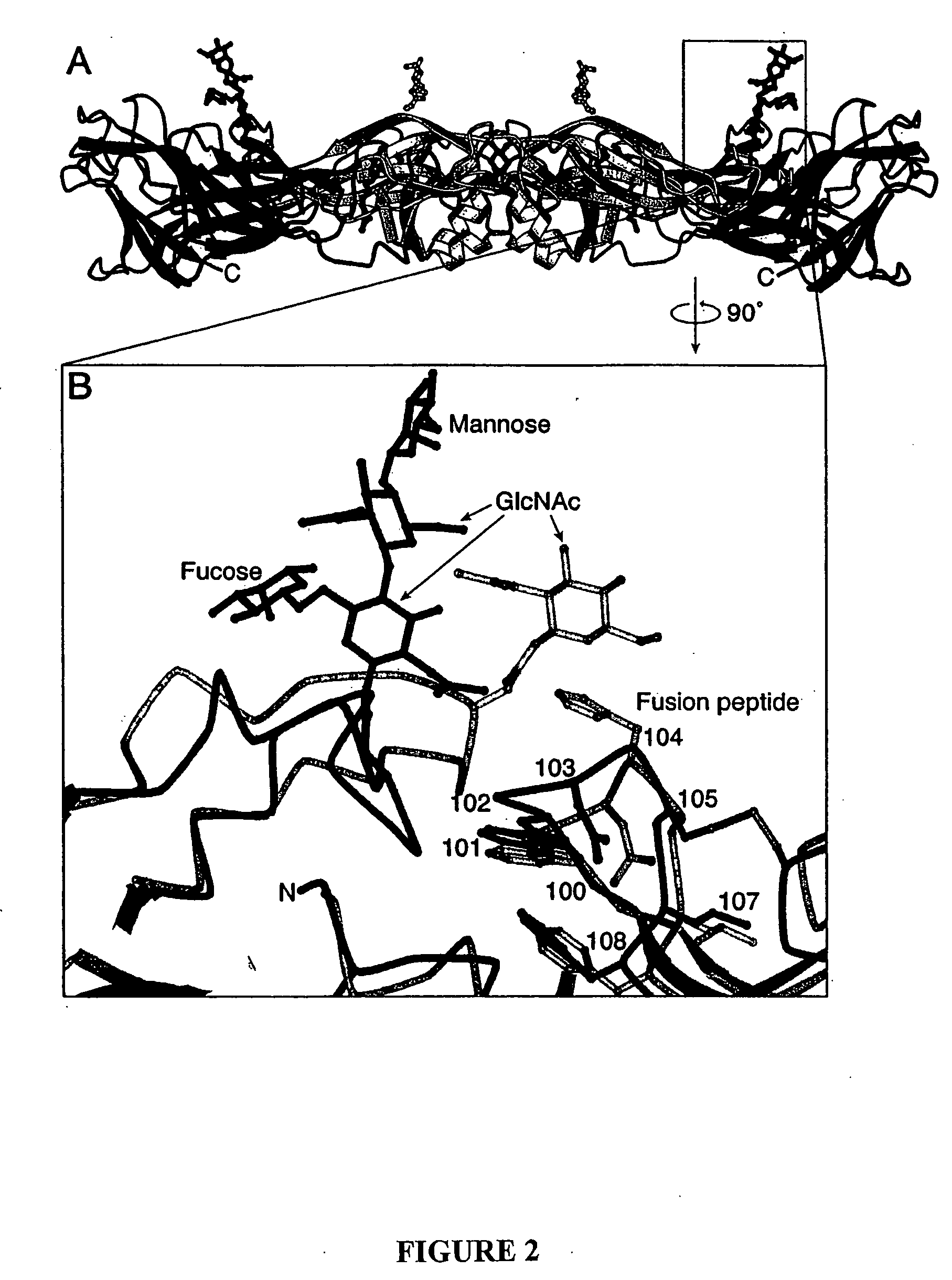 Novel druggable regions in the dengue virus envelope glycoprotein and methods of using the same