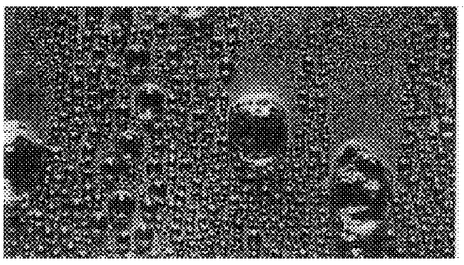 Use of plasma polymer layer sequences as functional layers in material transport or heat exchanger systems