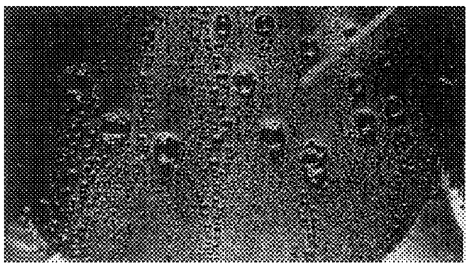 Use of plasma polymer layer sequences as functional layers in material transport or heat exchanger systems