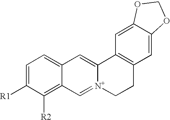 Composition for the protection and regeneration of nerve cells containing berberine derivatives