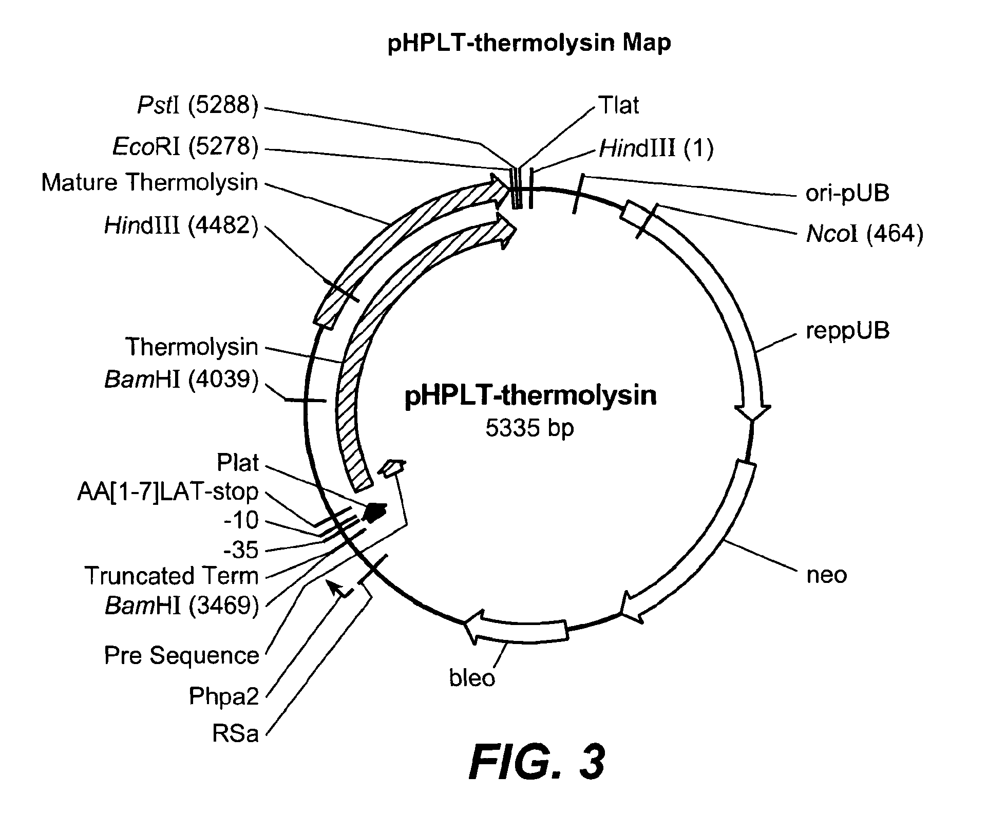 Thermolysin variants and detergent compositions therewith