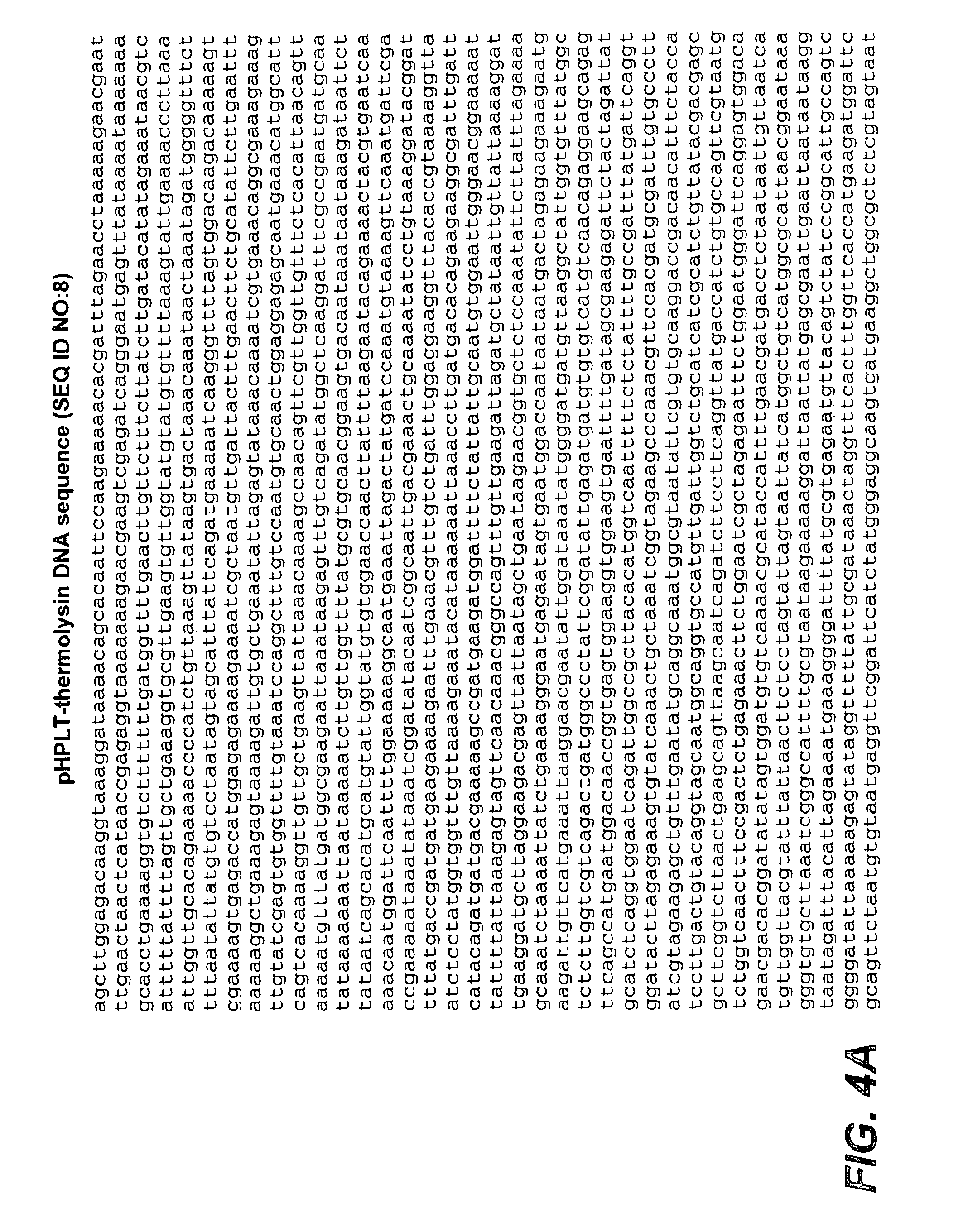 Thermolysin variants and detergent compositions therewith