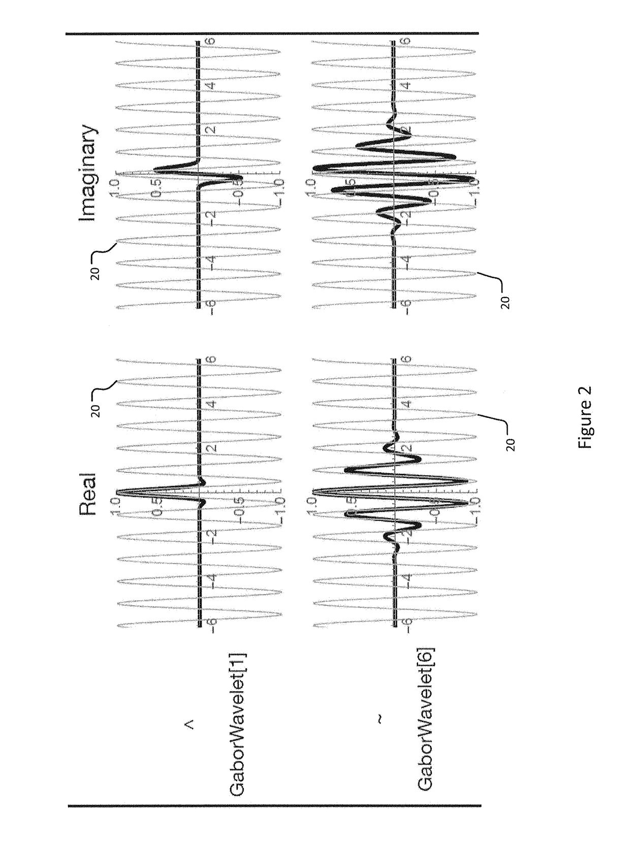 Device and method for spatiotemporal reconstruction of a moving vascular pulse wave in the brain and other organs