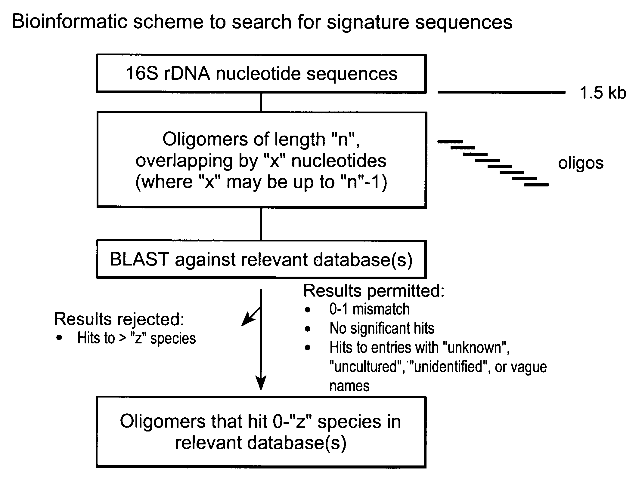 Genus, group, species and/or strain specific 16S rDNA sequences