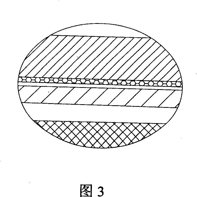 Plane carbon commutator and its manufacture method