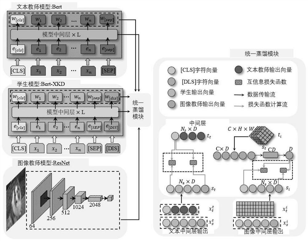 Multi-modal joint representation learning method and system based on variational distillation