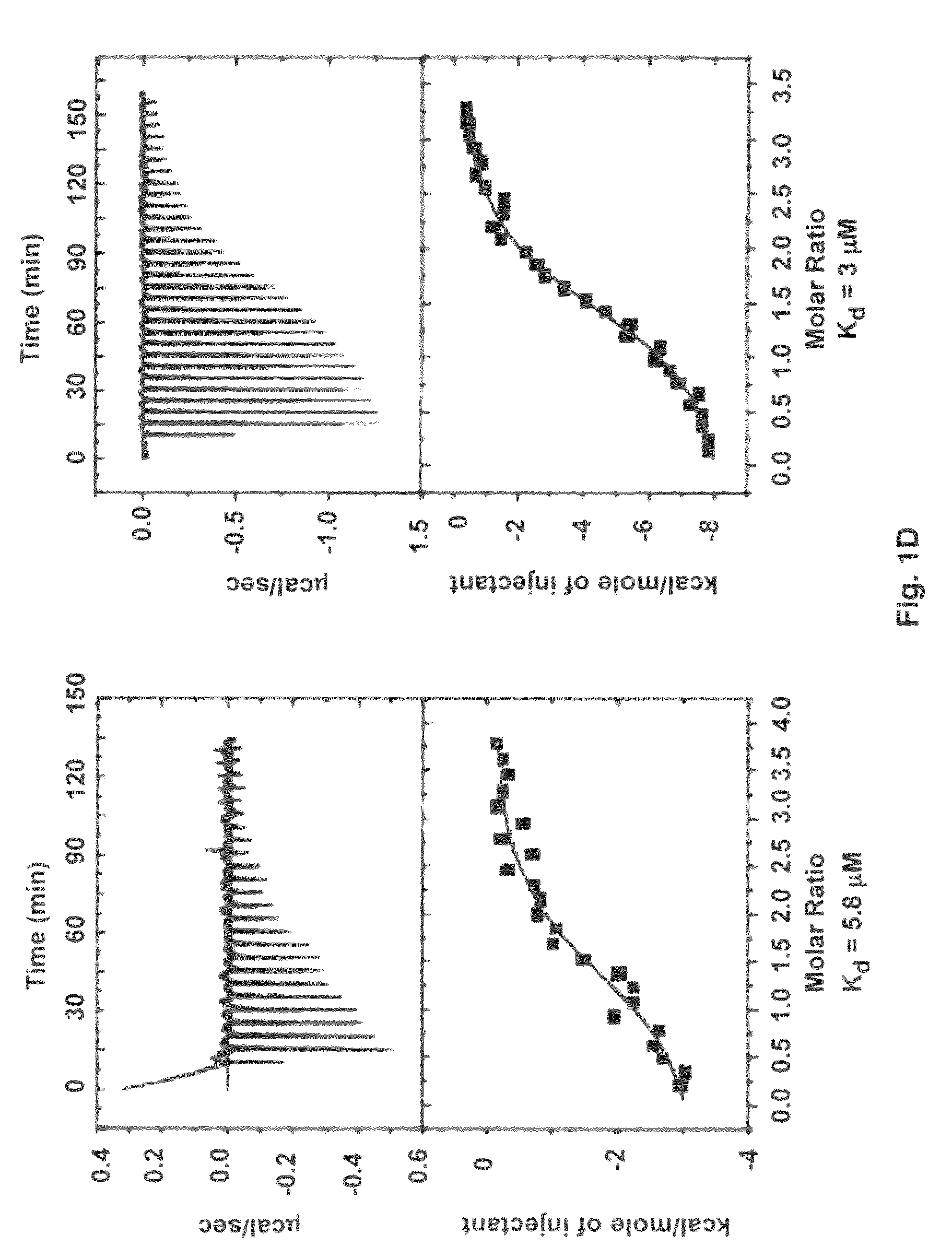 Crystal structure of Staphylococcus aureus clumping factor A in complex with fibrinogen derived peptide and uses thereof