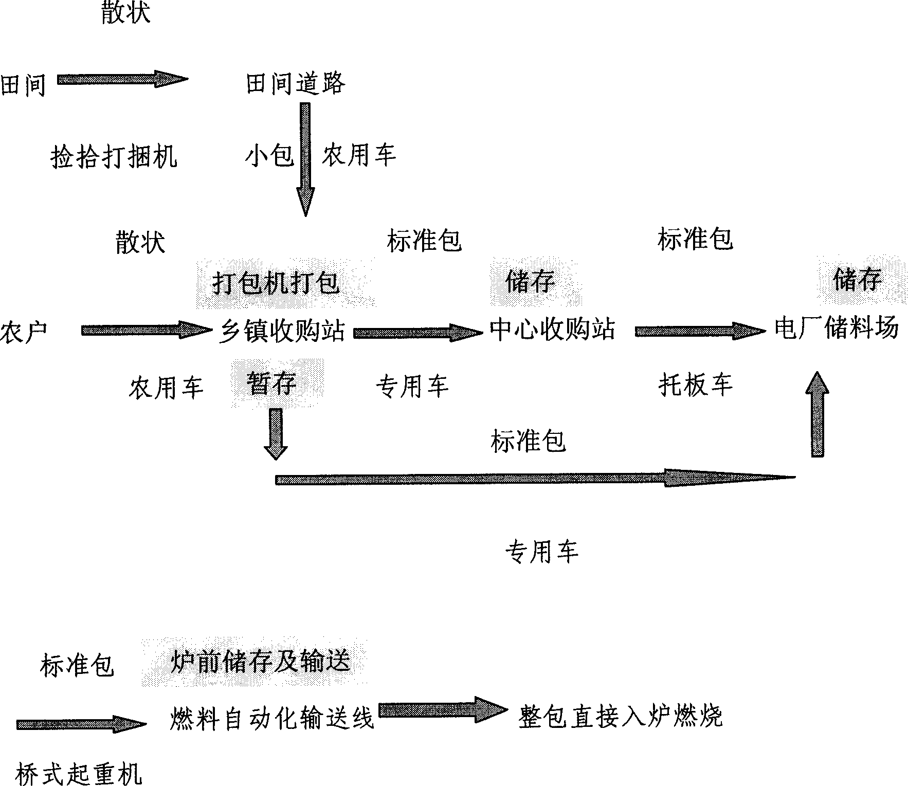 Biomass power plant fuel system