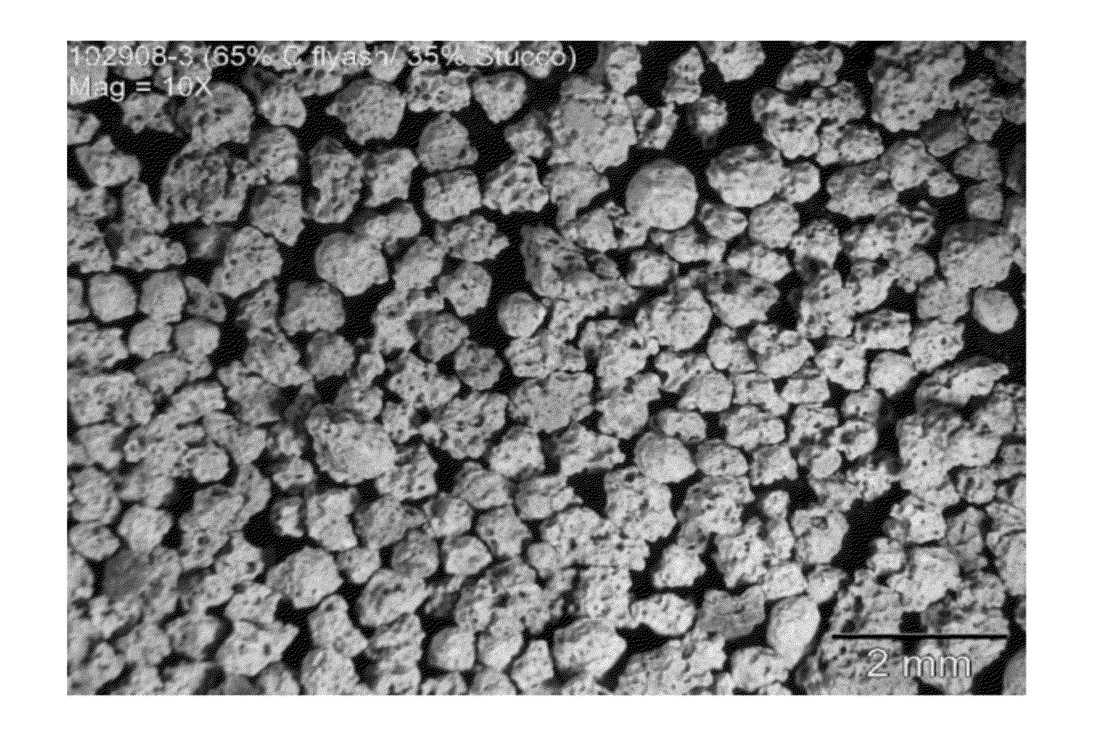 Method for In-Situ Manufacture of a Lightweight Fly Ash Based Aggregate