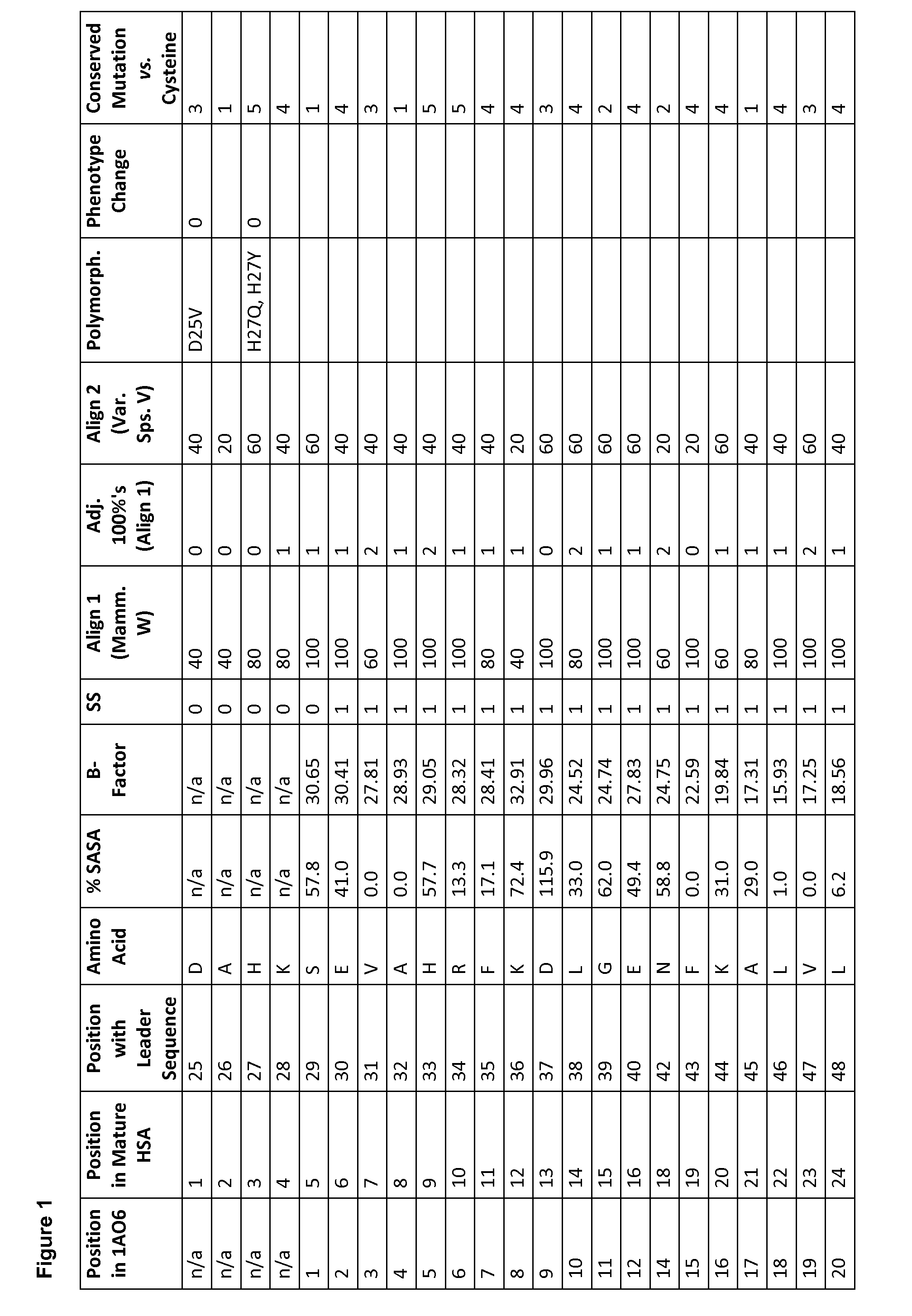 Albumin variants and conjugates