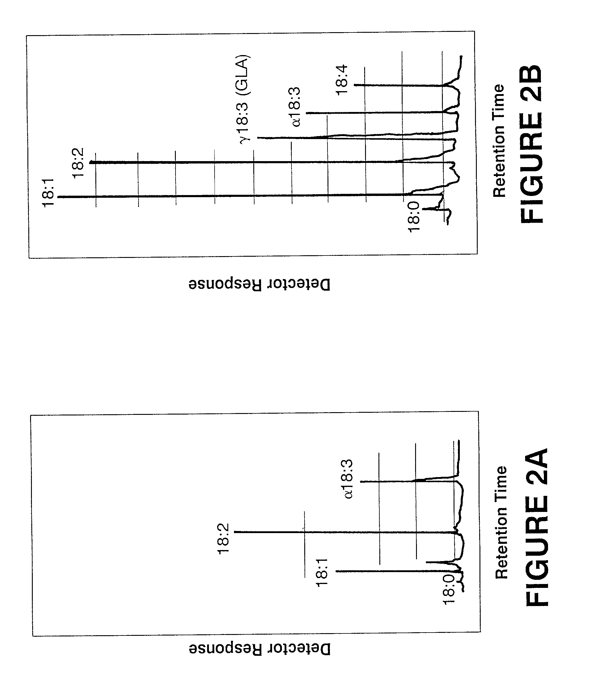 Production of gamma linolenic acid by a Delta6-desaturase