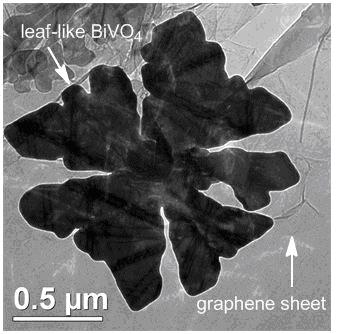 Visible light responsive pucherite-graphene composite photocatalyst and preparation method thereof