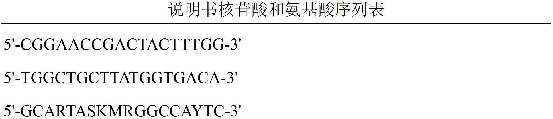 Qualitative detection method for simultaneously detecting three types of main hand-foot-and -mouth disease viruses in water environment