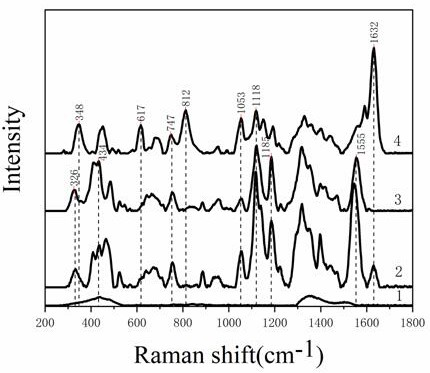 A method for the rapid detection of biogenic amines in food by surface-enhanced Raman scattering