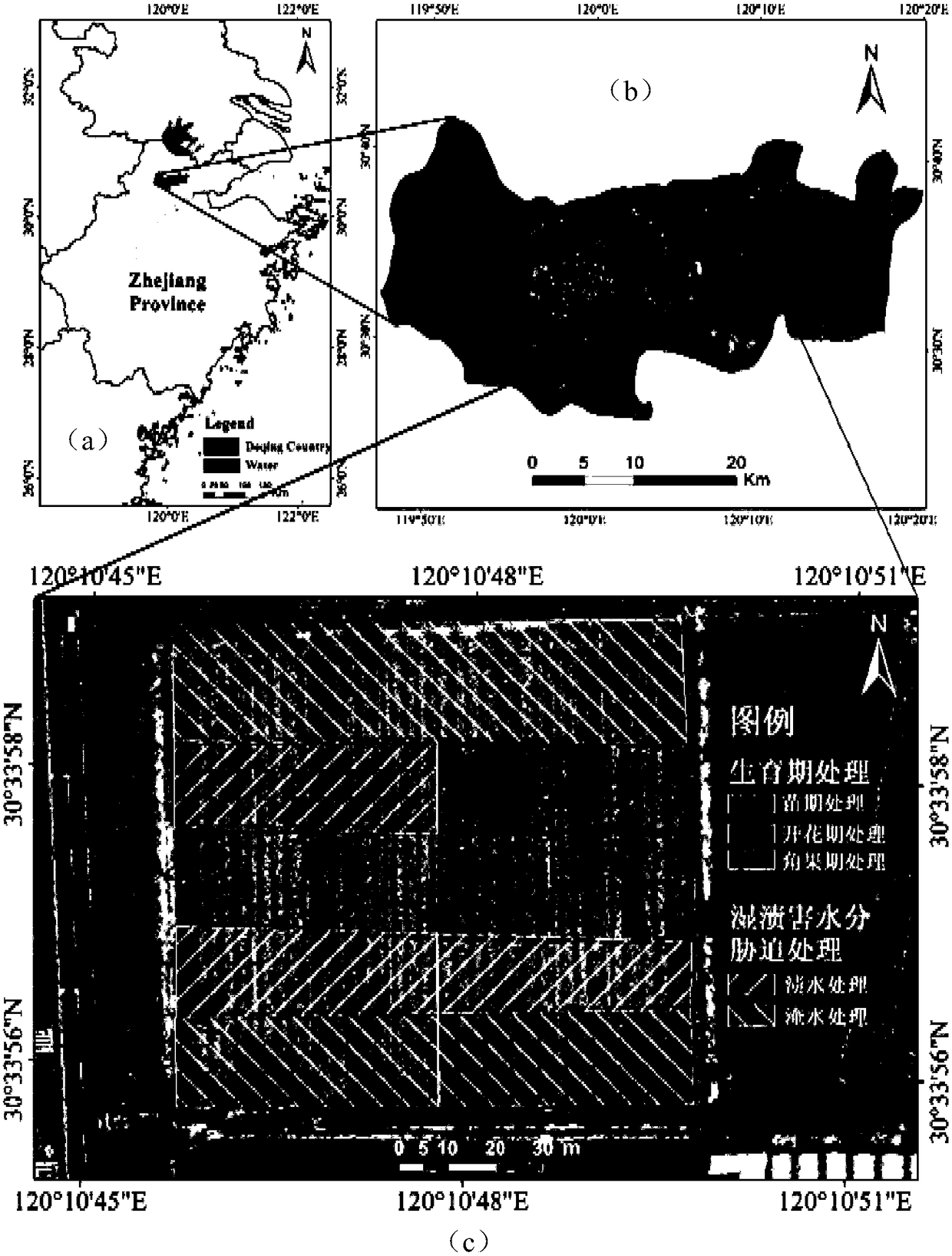 Method for remote sensing quantitative assessment of yield loss of rapeseed under waterlogging damage stress based on satellite data