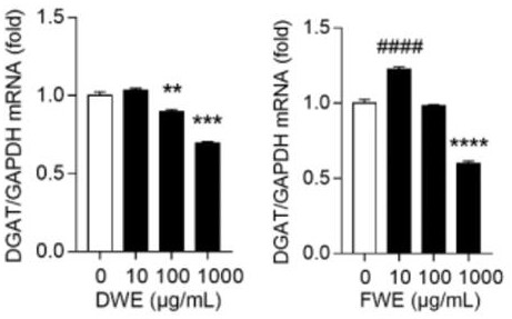 Application of dendrobium nobile water extract in treating type 2 diabetes mellitus