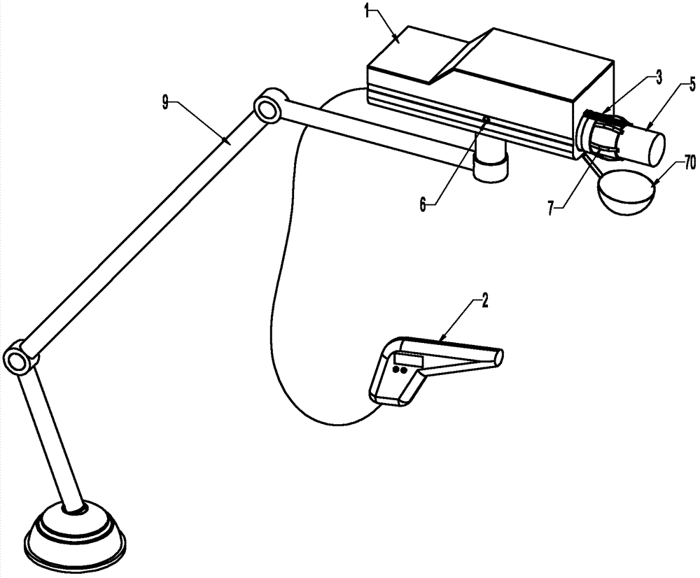 Automatic moxibustion device