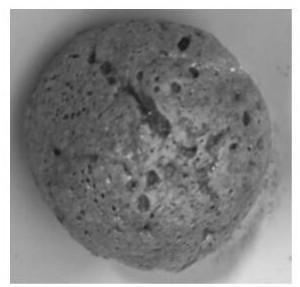 Composite ceramsite prepared from water purification sludge and diatomite