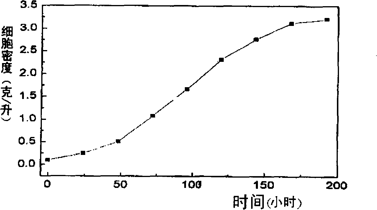 Method for producing biodiesel by autotrophic culture and heterotrophic culture of chlorella