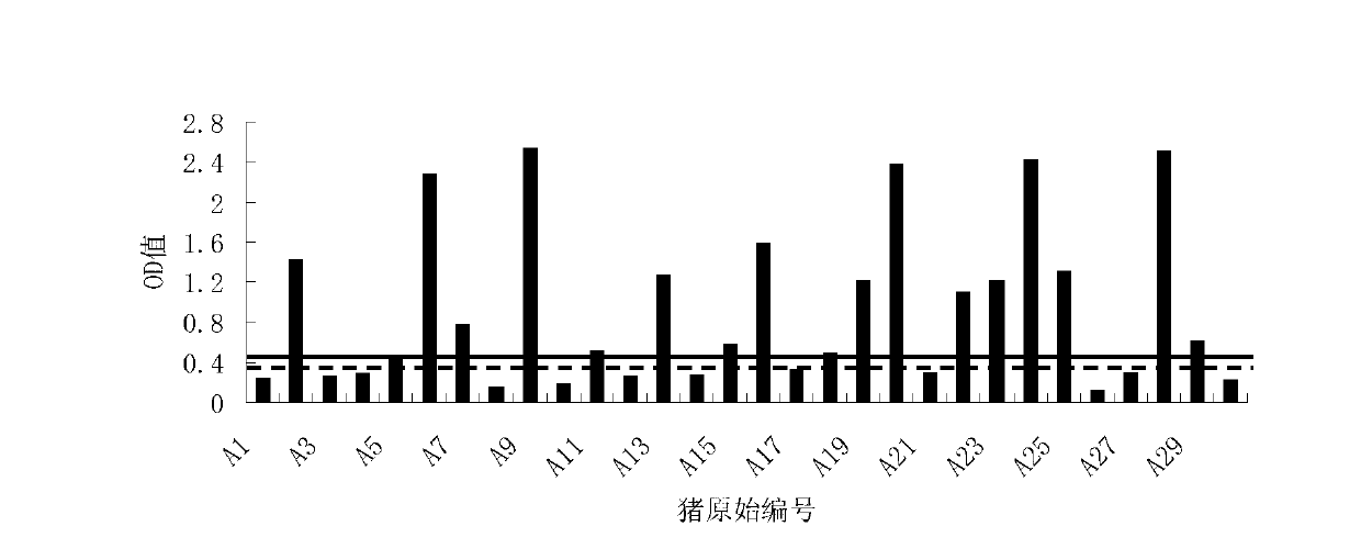 Antibiotic premixing agent for inhibiting porcine reproductive and respiratory syndrome virus for livestock and preparation method thereof