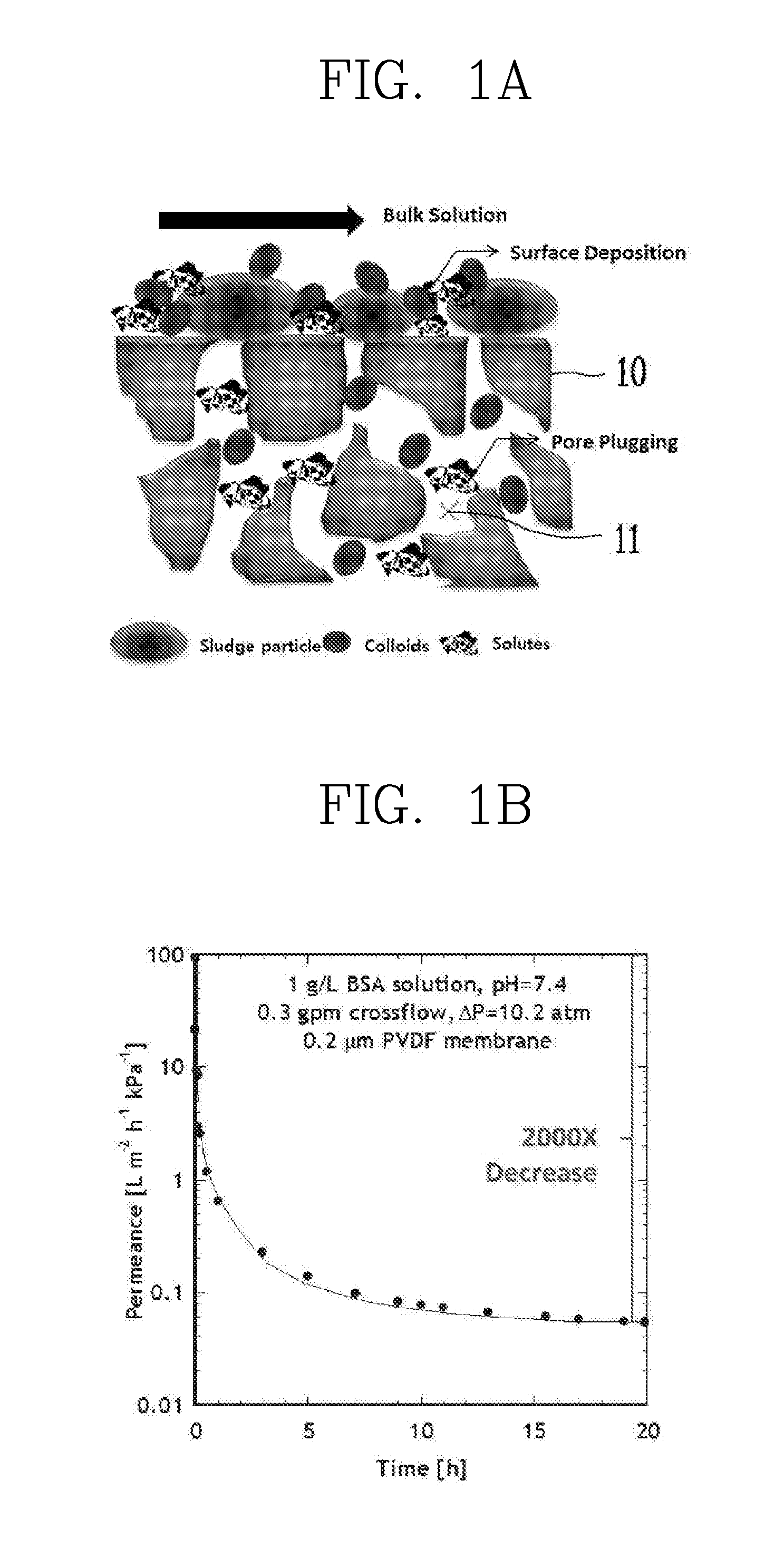 Surface-modified separation membrane and method for modifying surface of separation membrane