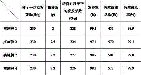 Sugarcane seedling culture method