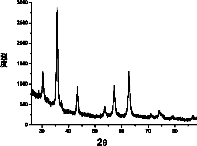 Magnetic nano catalyst and preparation method thereof