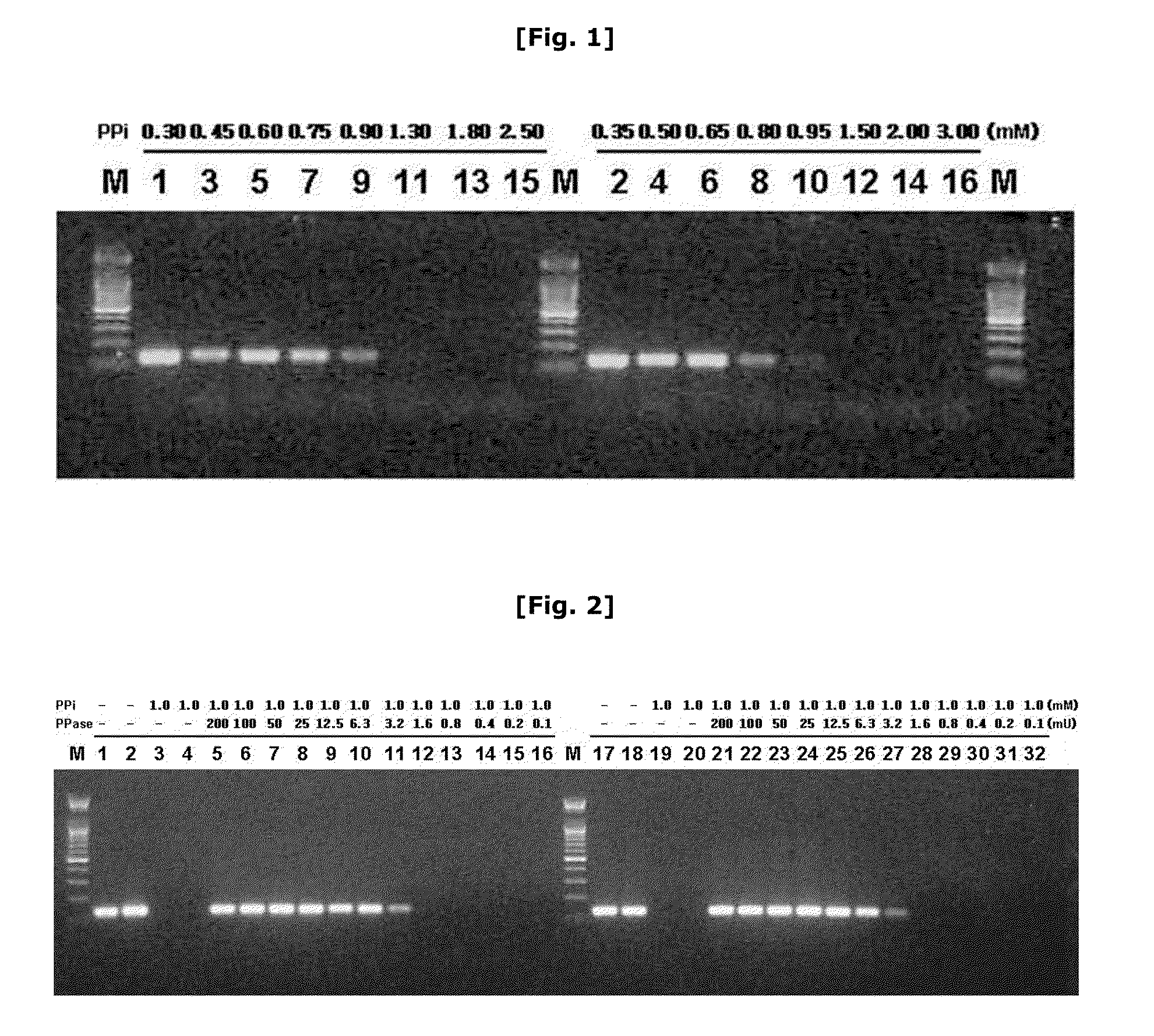 Dried composition for hot-start PCR with long-term stability