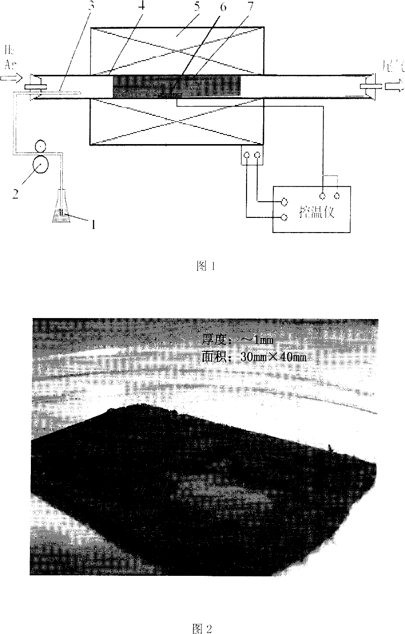 Method of in-situ filling symbiotic iron nanometer wire on thin wall nanometer pipe