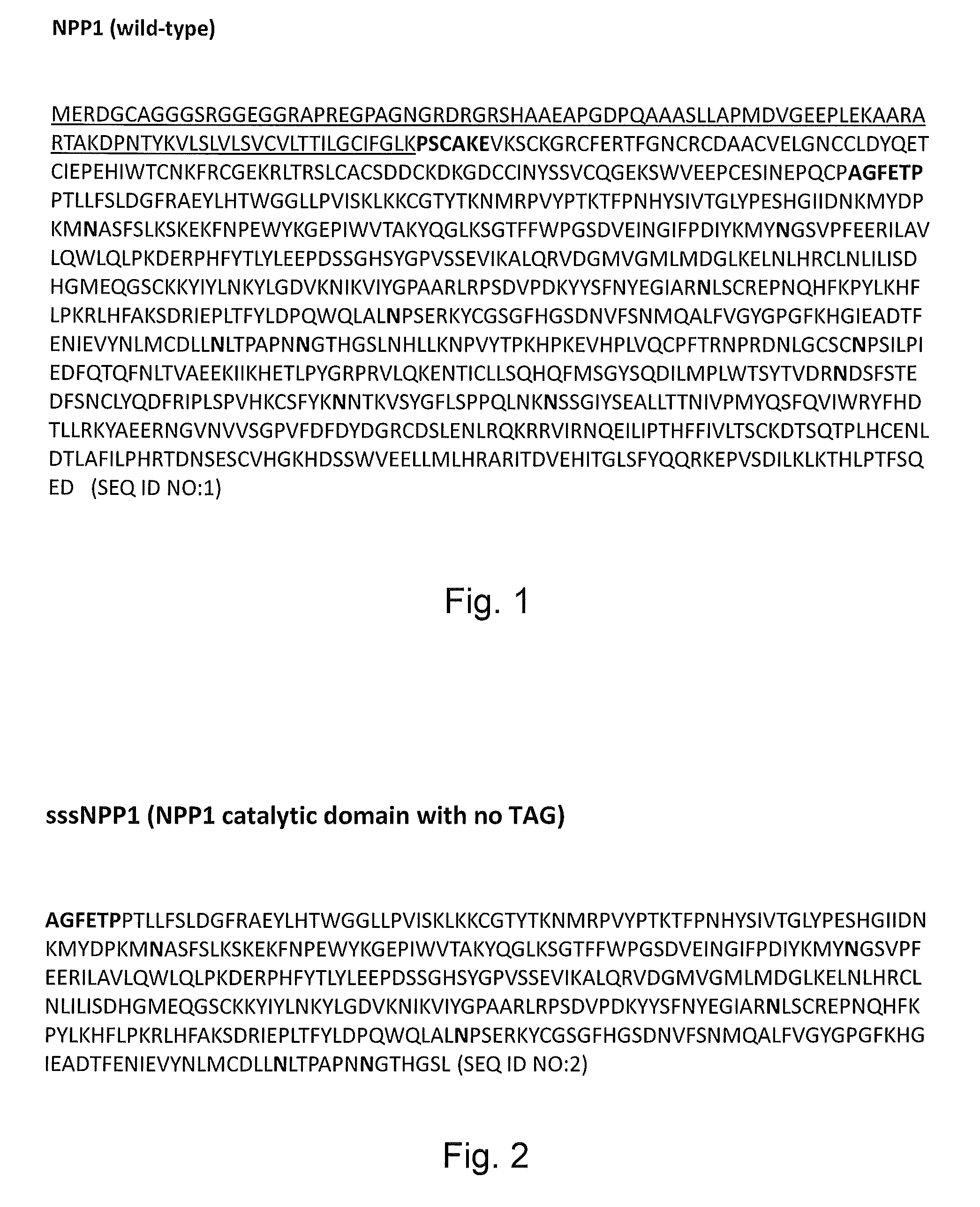 Npp1 fusion proteins