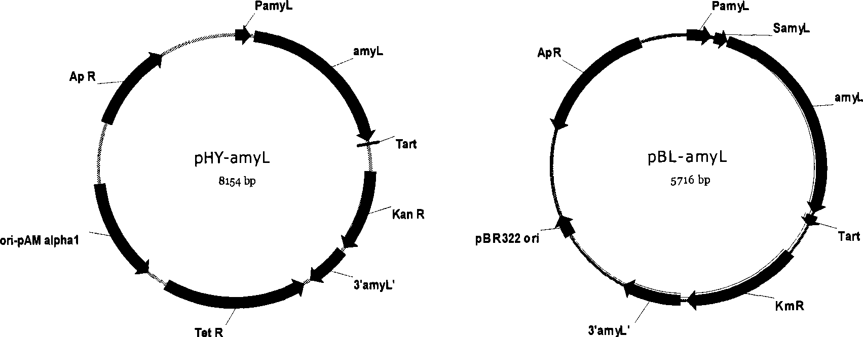 High efficiency preparation method of high temperature alpha-amylase and mutant thereof