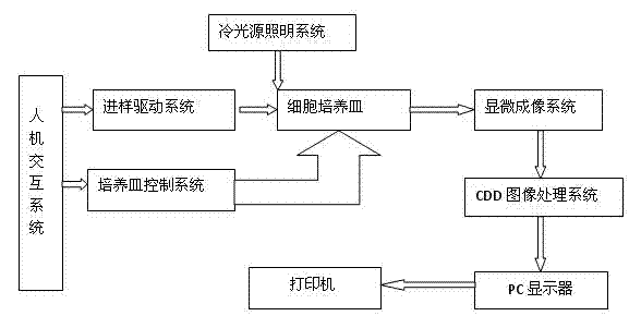 Cell microscopic observation monitor in cell factory