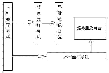 Cell microscopic observation monitor in cell factory