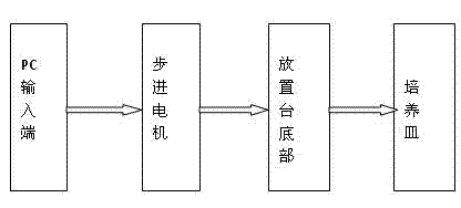 Cell microscopic observation monitor in cell factory