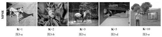 Few-sample target detection method based on singular value decomposition feature enhancement