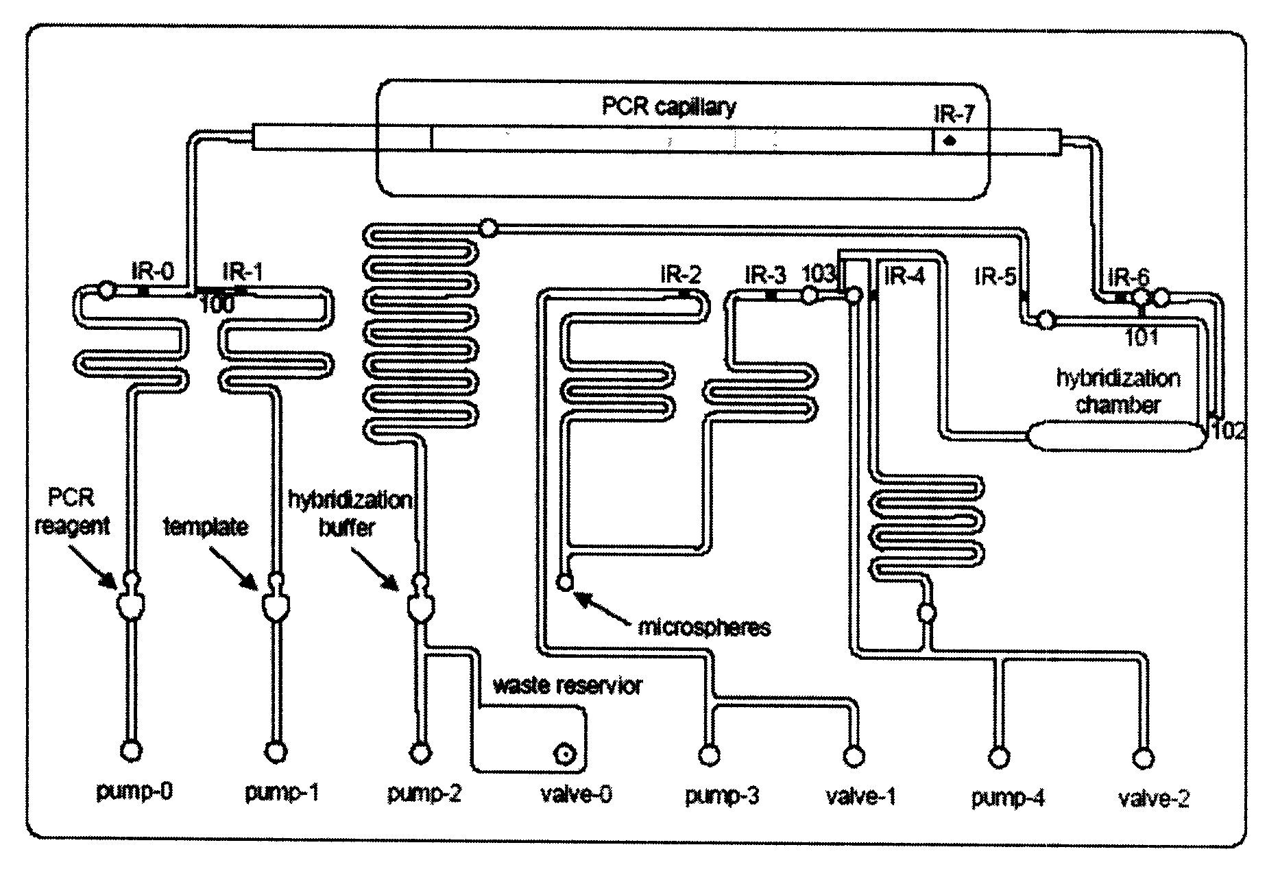 Card, kit system in use for analyzing sample of liquid