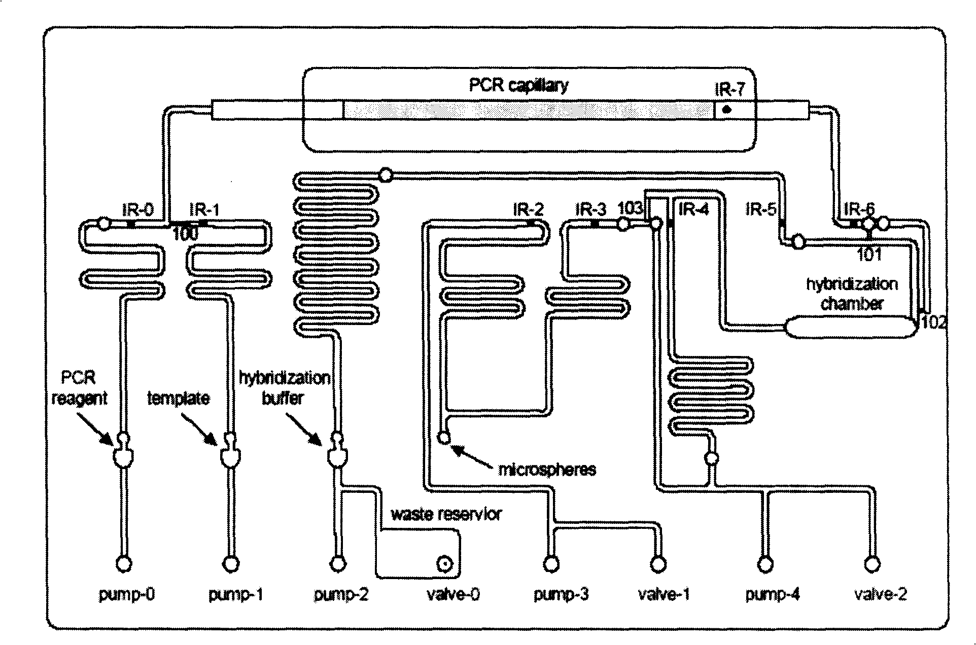 Card, kit system in use for analyzing sample of liquid