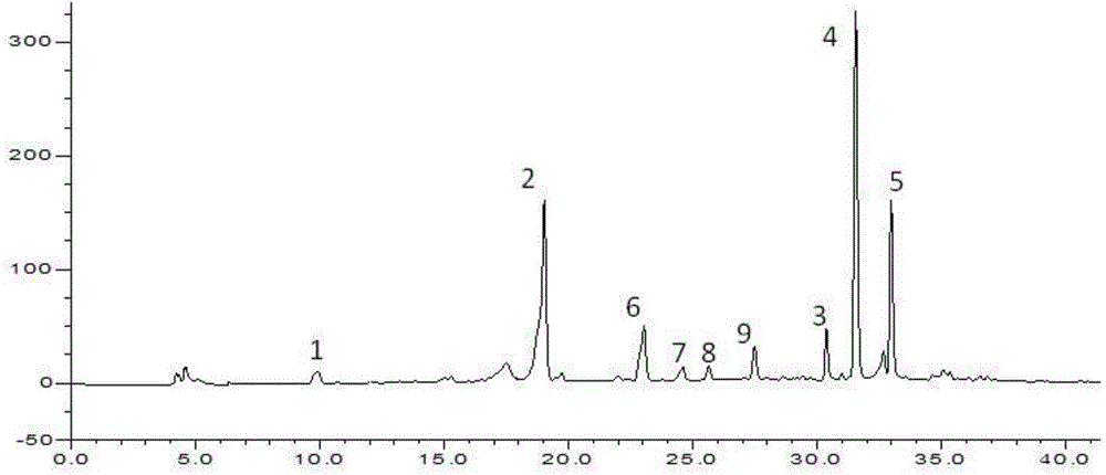 Methods for separation and content determination of chlorogenic acid type components in gynura procumbens