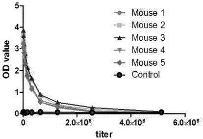 Anti-human B7-H4 extracellular monoclonal antibody secreting hybridoma cell strain, anti-human B7-H4 monoclonal antibody and application thereof