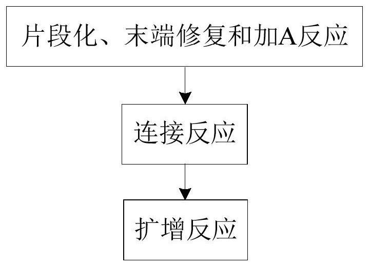 Kit and method for constructing DNA library