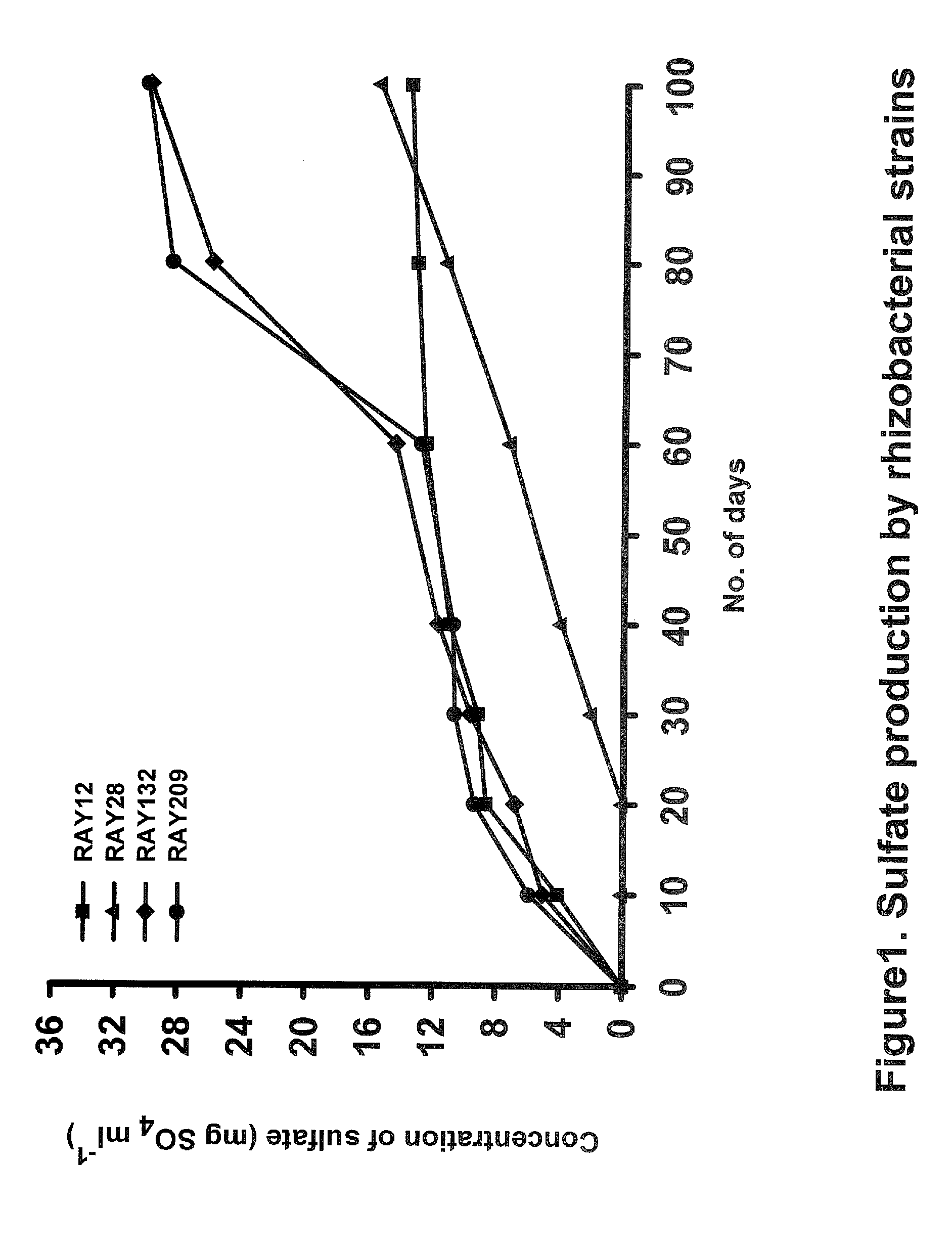 Sulfur-oxidizing plant growth promoting rhizobacteria for enhanced canola performance