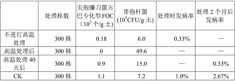 Method for eliminating wilt disease strain in banana garden subjected to incipient disease at high temperature