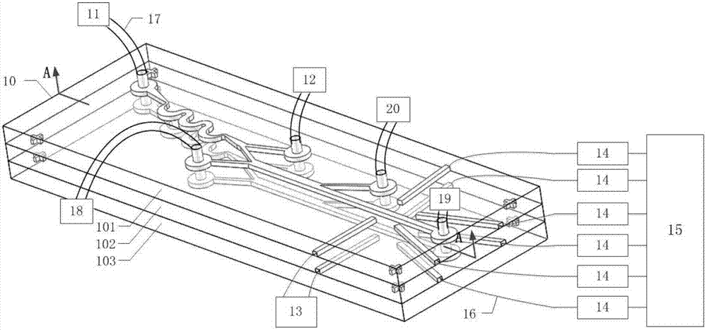 Integrated chip system for high-throughput sorting and counting detection of biological particles, and application