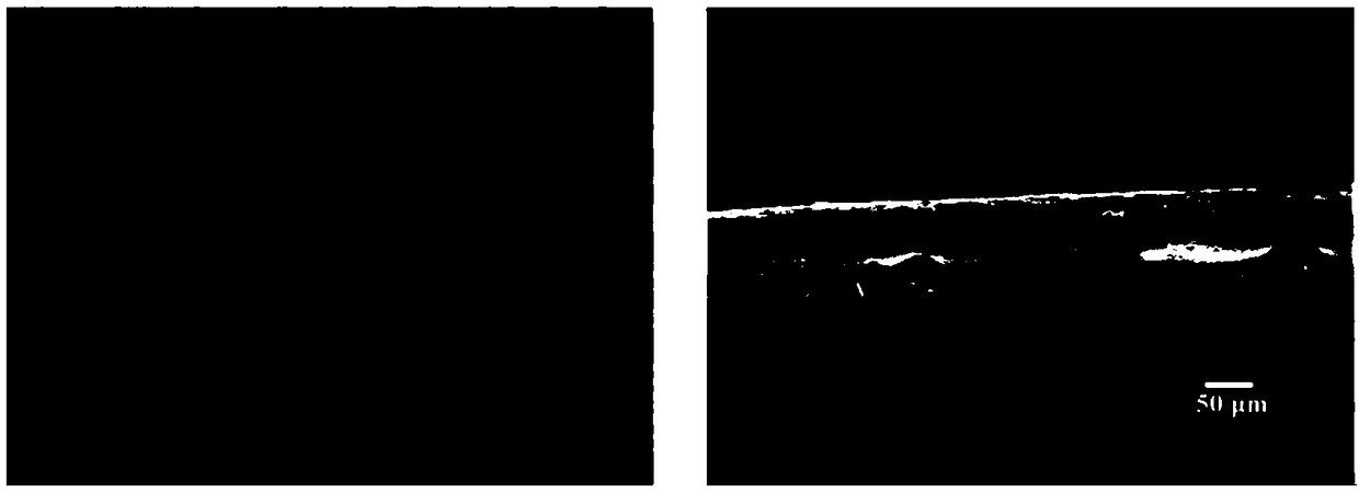 A three-dimensional nanoskeleton composite gel electrolyte material, preparation method and application thereof