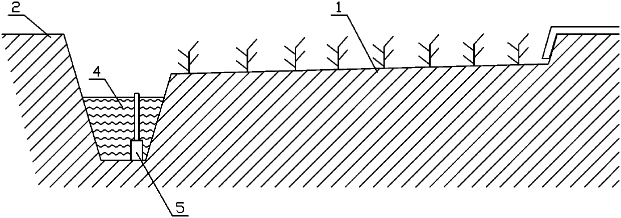 Rice fish culture system and micro flood and drought rotation irrigation method based on same